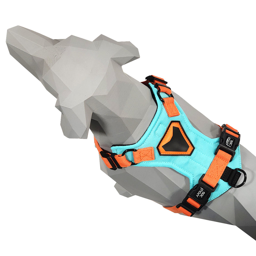 PEITORAL H VERDE ÁGUA PARA CÃES COM 2 PONTOS DE ENGATE ANTIPUXÃO