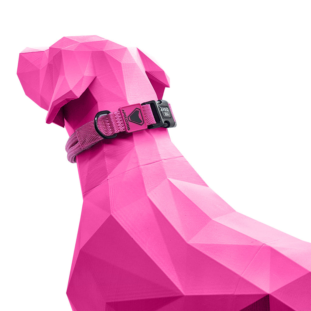 COLEIRA ROSA PARA CÃES DE PEQUENO MÉDIO E GRANDE PORTE