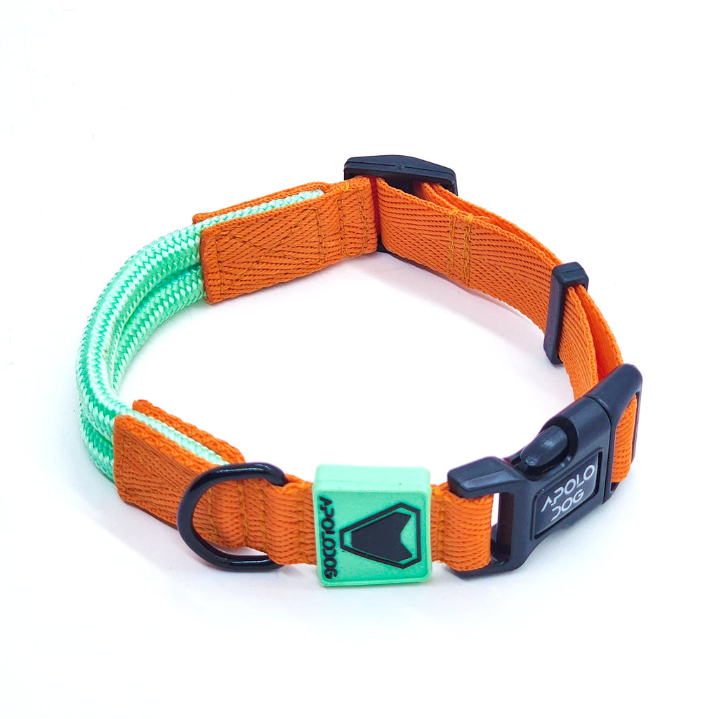 COLEIRA VERDE ÁGUA PARA CÃES DE PEQUENO MÉDIO E GRANDE PORTE