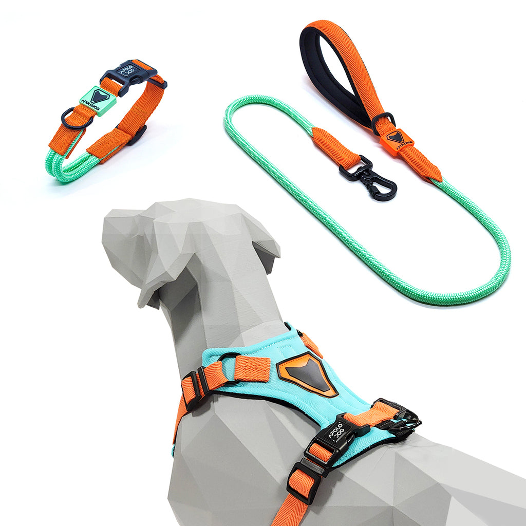 KIT COLEIRA + GUIA + PEITORAL PARA PASSEIOS CACHORRO VERDE ÁGUA