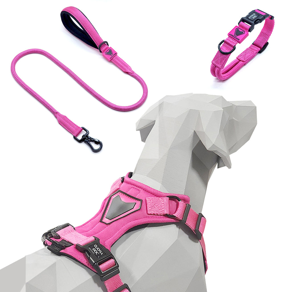 KIT COLEIRA + GUIA + PEITORAL PARA PASSEIOS CACHORRO ROSA