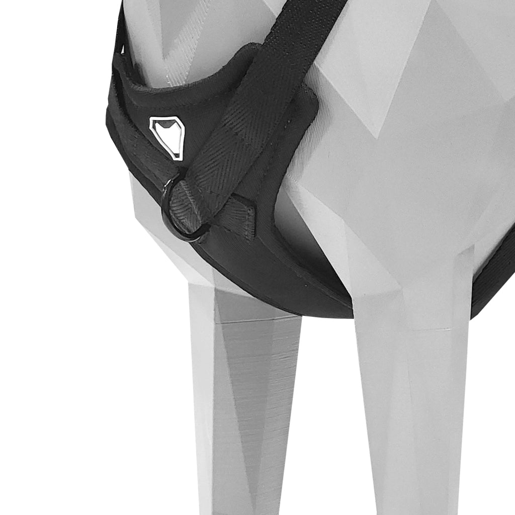 KIT COLEIRA + GUIA + PEITORAL PARA PASSEIOS CACHORRO PRETO