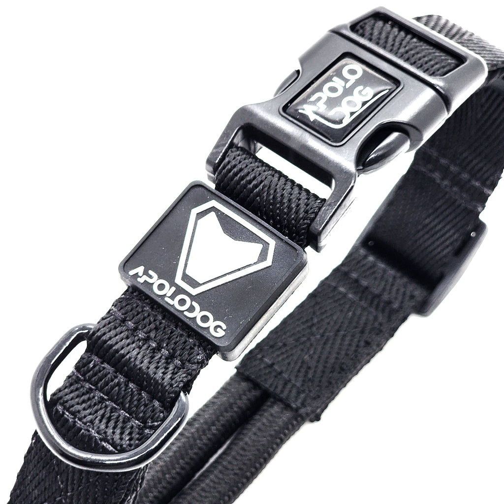 COLEIRA PRETO PARA CÃES DE PEQUENO MÉDIO E GRANDE PORTE