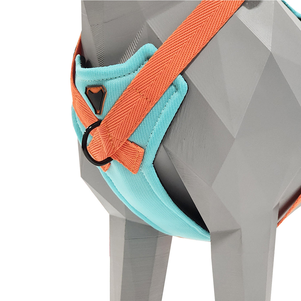 KIT COLEIRA + GUIA + PEITORAL PARA PASSEIOS CACHORRO VERDE ÁGUA