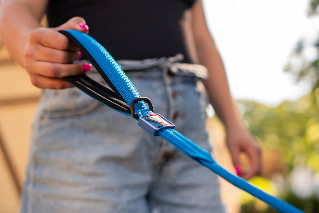 KIT COLEIRA + GUIA + PEITORAL PARA PASSEIOS CACHORRO AZUL