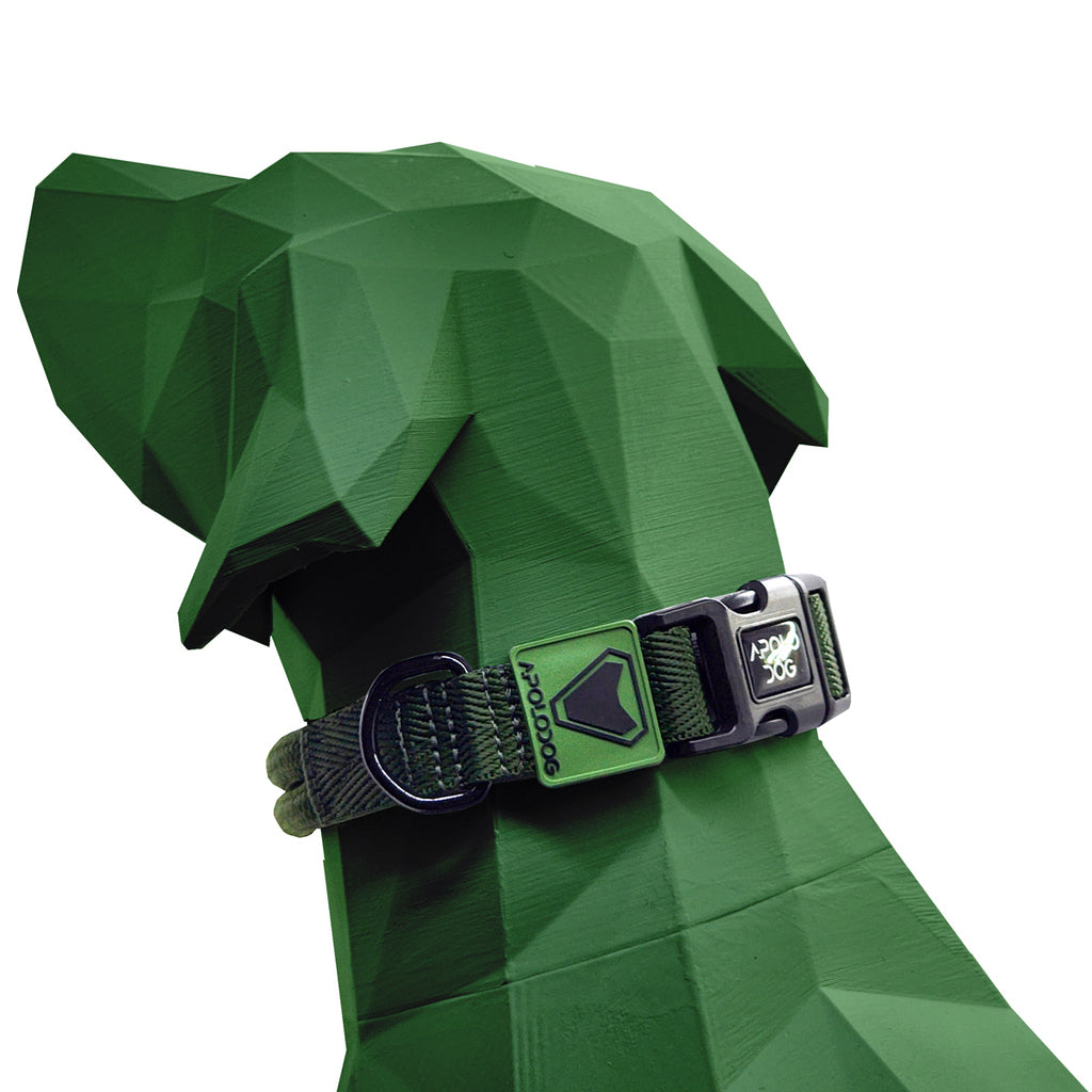 COLEIRA VERDE MILITAR PARA CÃES DE PEQUENO MÉDIO E GRANDE PORTE