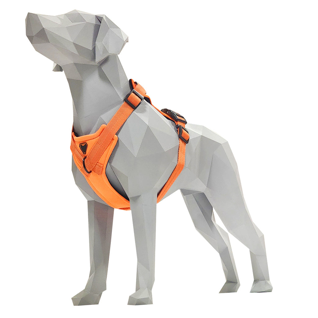 PEITORAL H LARANJA PARA CÃES COM 2 PONTOS DE ENGATE ANTIPUXÃO