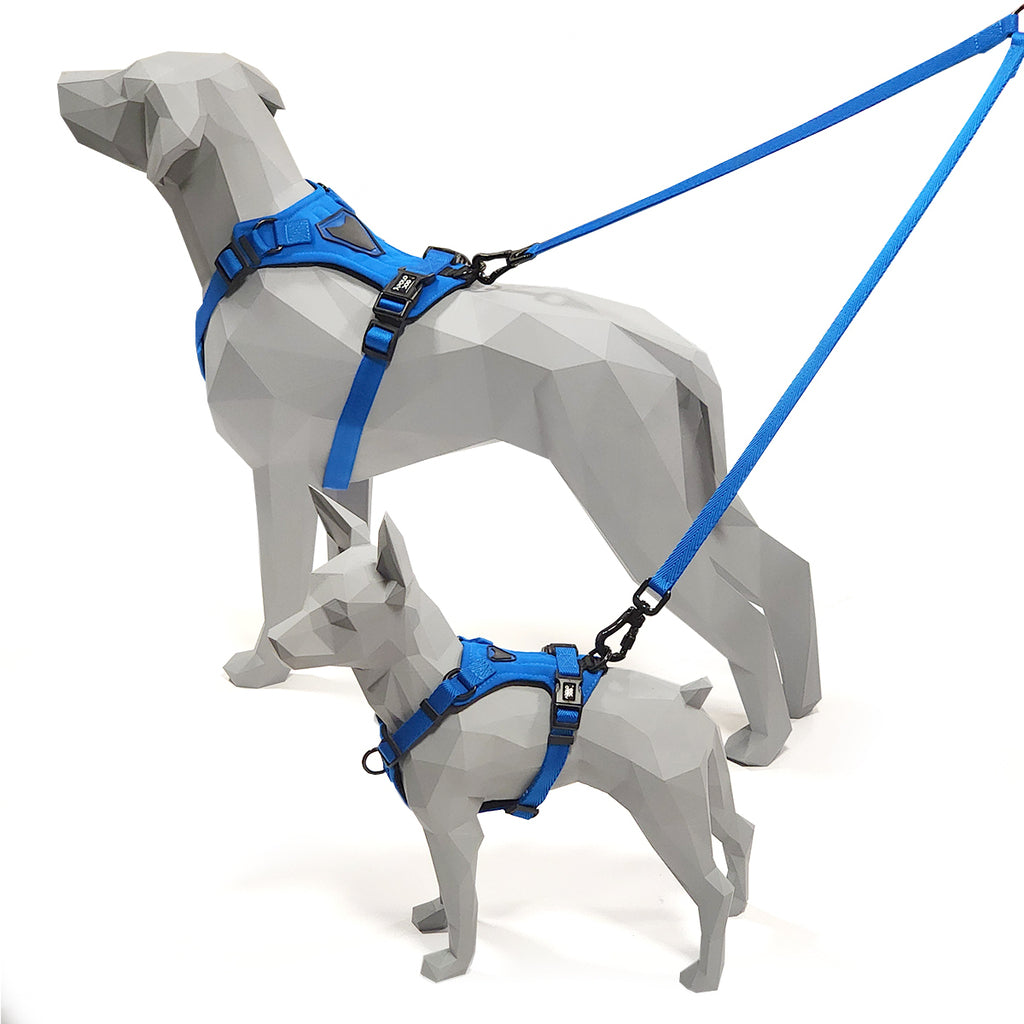 PEITORAL H AZUL PARA CÃES COM 2 PONTOS DE ENGATE ANTIPUXÃO