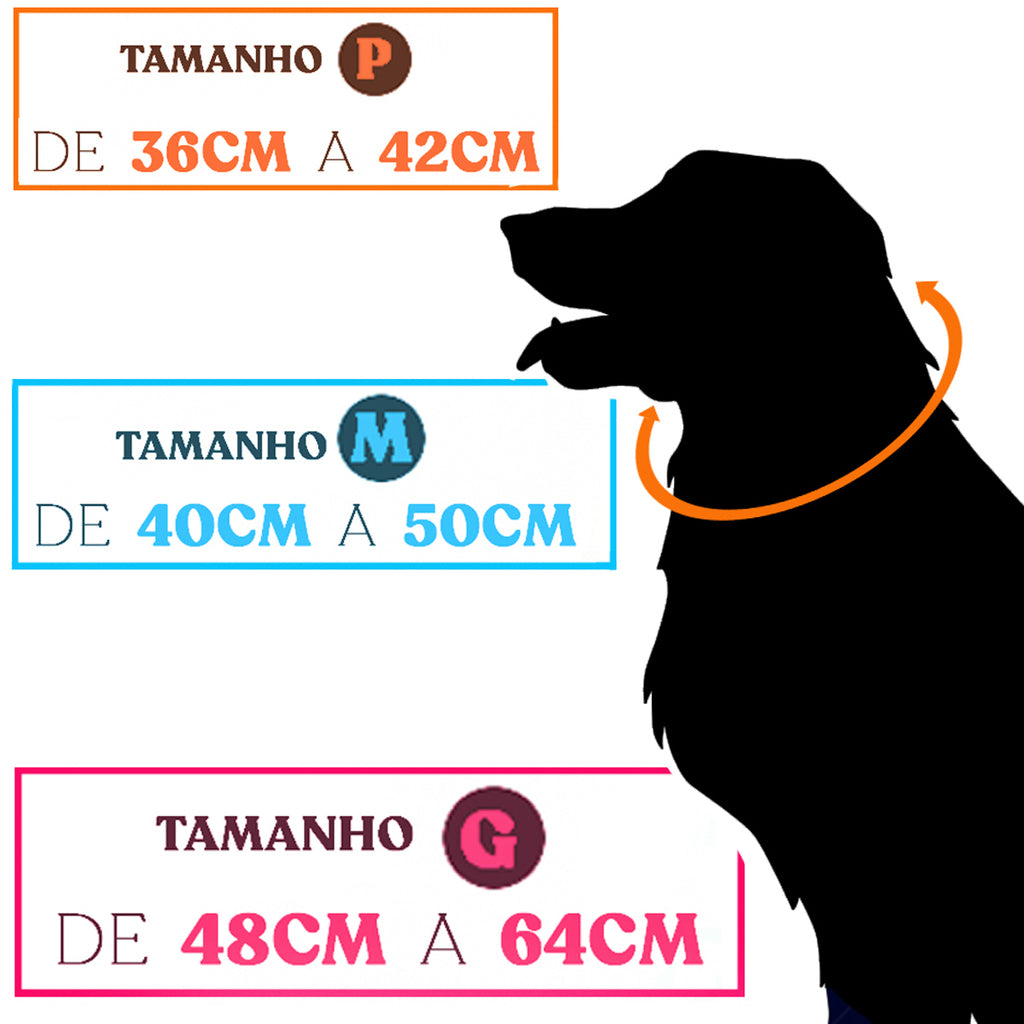 COLEIRA VERDE ÁGUA PARA CÃES DE PEQUENO MÉDIO E GRANDE PORTE