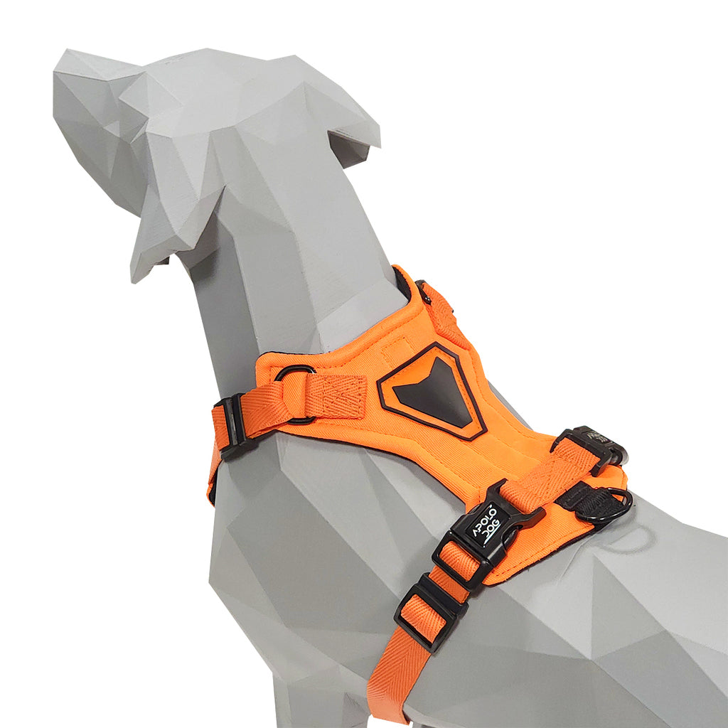 PEITORAL H LARANJA PARA CÃES COM 2 PONTOS DE ENGATE ANTIPUXÃO