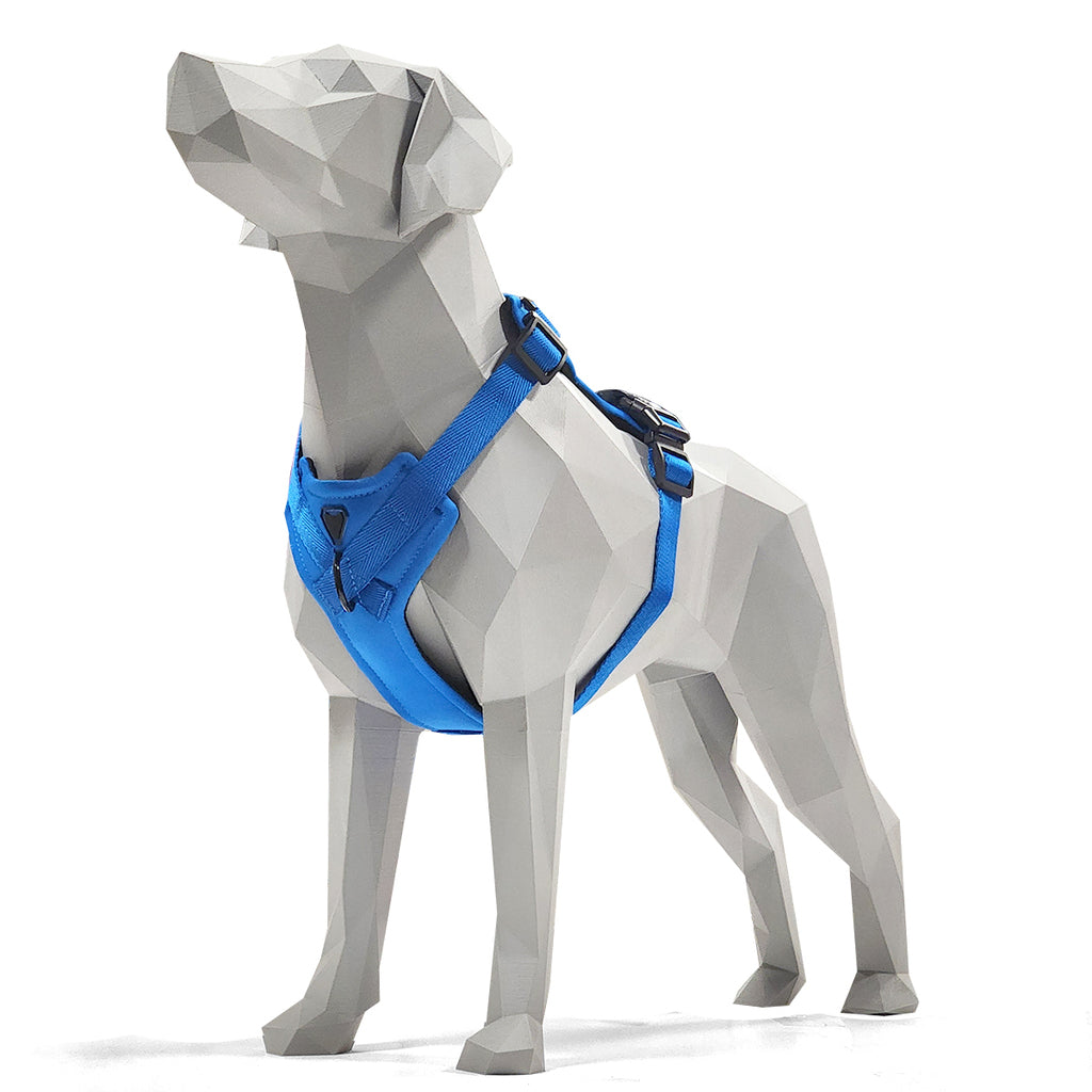 PEITORAL H AZUL PARA CÃES COM 2 PONTOS DE ENGATE ANTIPUXÃO