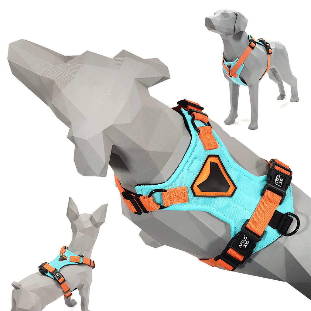 KIT COLEIRA + GUIA + PEITORAL PARA PASSEIOS CACHORRO VERDE ÁGUA