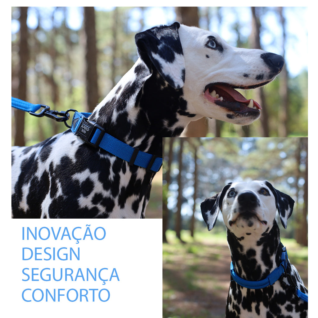 COLEIRA VERMELHO PARA CÃES DE PEQUENO MÉDIO E GRANDE PORTE