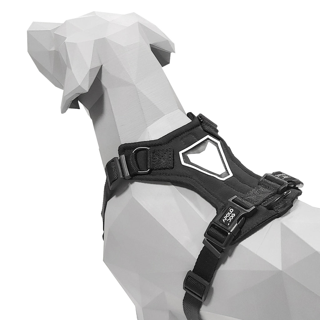 KIT COLEIRA + GUIA + PEITORAL PARA PASSEIOS CACHORRO PRETO